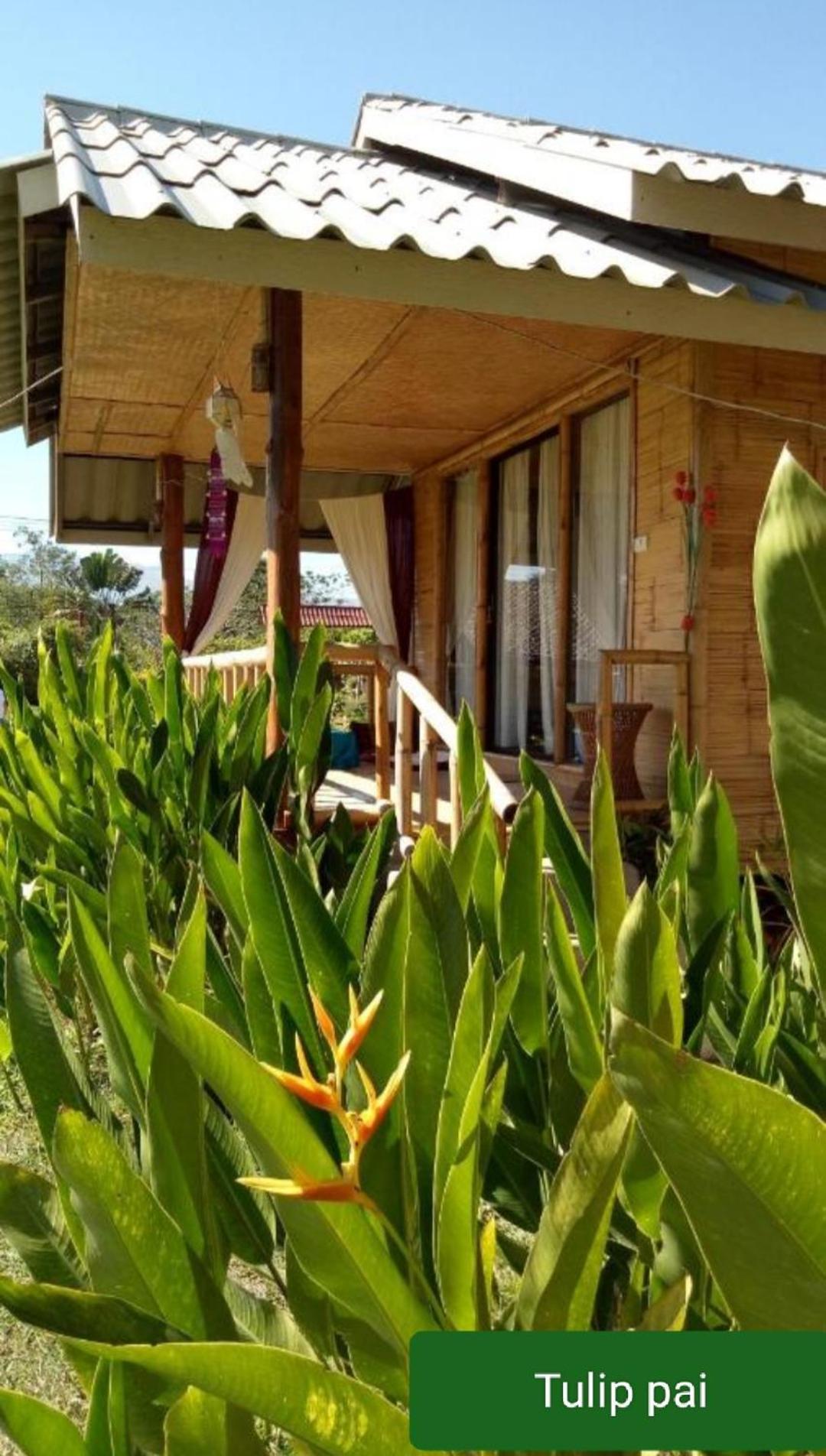 Tulip Resort Pai Luaran gambar