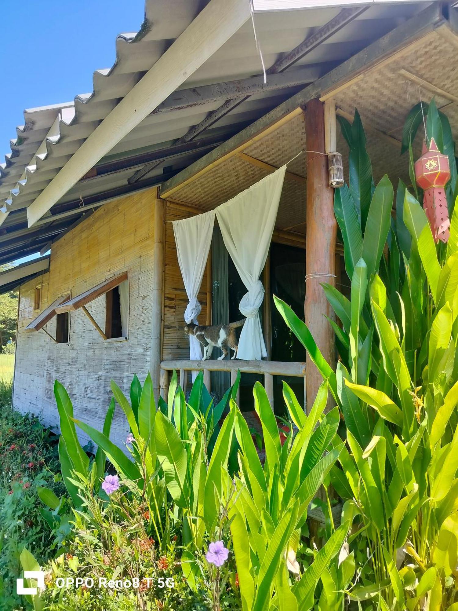 Tulip Resort Pai Luaran gambar