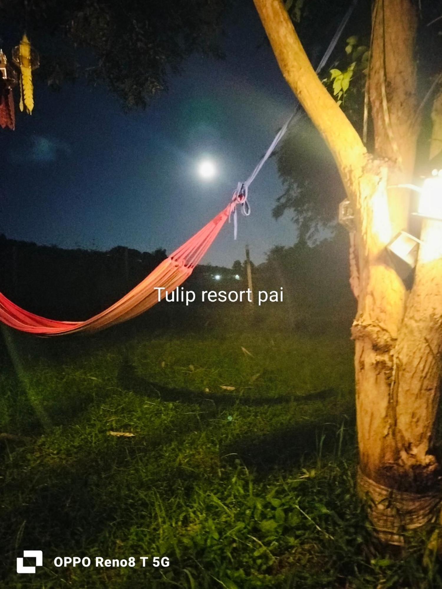 Tulip Resort Pai Bilik gambar