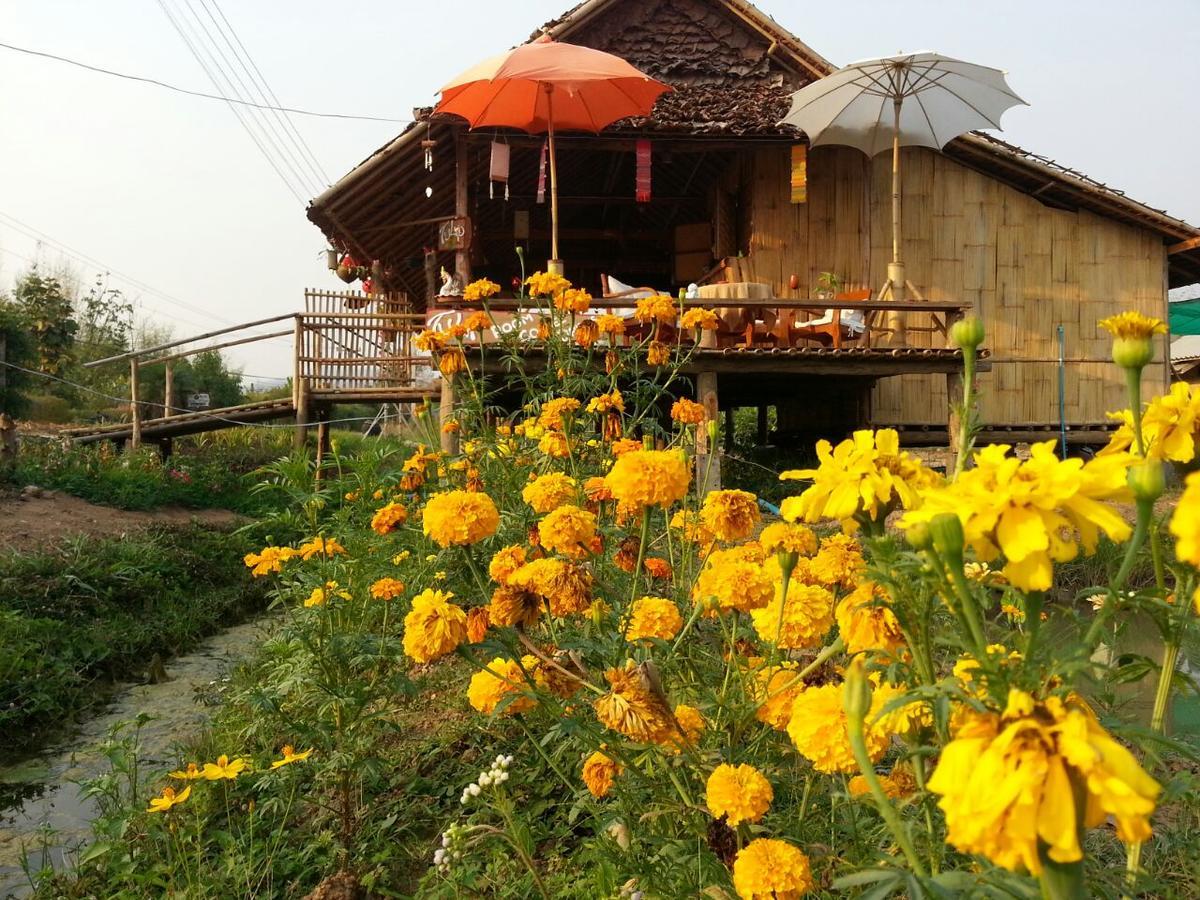 Tulip Resort Pai Luaran gambar